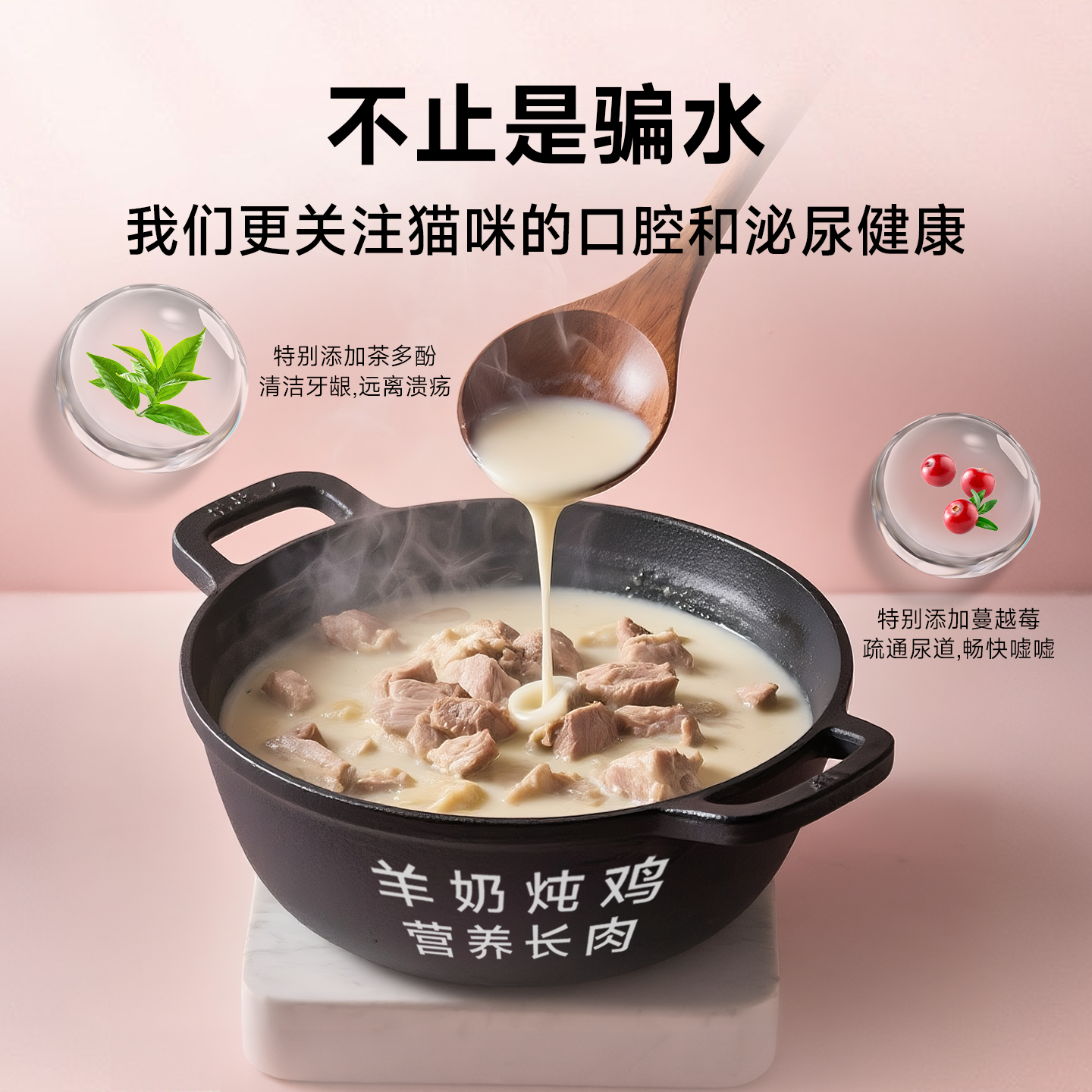 多特思猫主食罐头轻莓煮茶餐盒成幼猫湿粮奶糕罐头猫饭补水非零食,淘宝优惠券,粉丝福利购,淘宝优惠卷