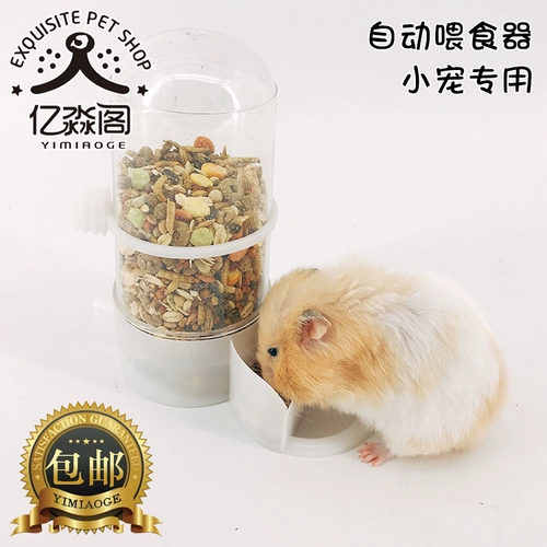 Hamstes Foods, золотой шелковый медвежь