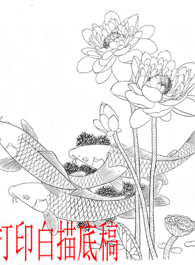 路雨年荷花白描打印稿学习工笔画