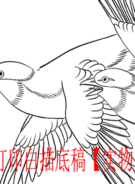工笔画底稿 4尺工笔花鸟竖副白描打印稿毛笔勾线宣纸稿