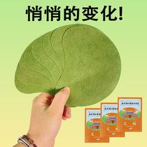 (Nanjing Tongrentang products) - the heavier the wet-the more useful it is-the major bots grow grass to buy 5 to buy 7 5 send them 8