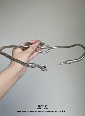 科技感缠绕蛇形项链手镯