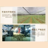 雷允上 Западные участники в Канаде импортировали короткие филиалы Ginseng Раздел 100G подарочная коробка