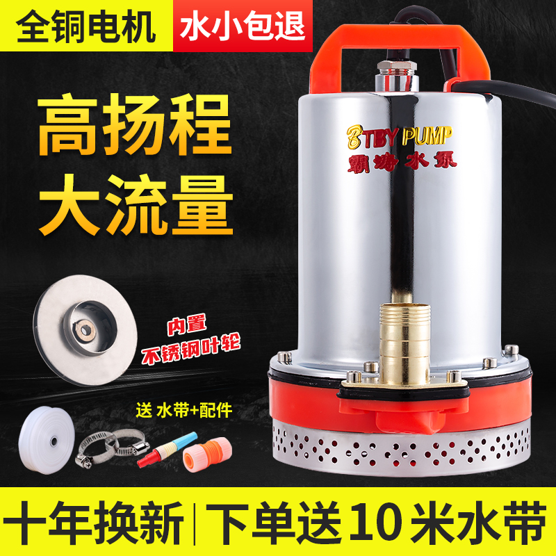 高扬程12V24V48V直流潜水泵电瓶车水泵电动车船用水泵抽水机