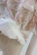 ເສື້ອຢືດ chiffon ຄໍດຽວແບບຝຣັ່ງ ruffled
