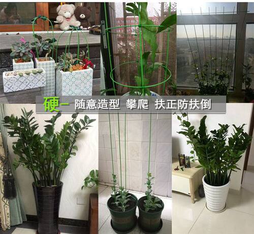 室内花架子金钱树绿萝蔬菜瓜果爬藤支架花卉植物支撑杆兰花固定架 - 图1