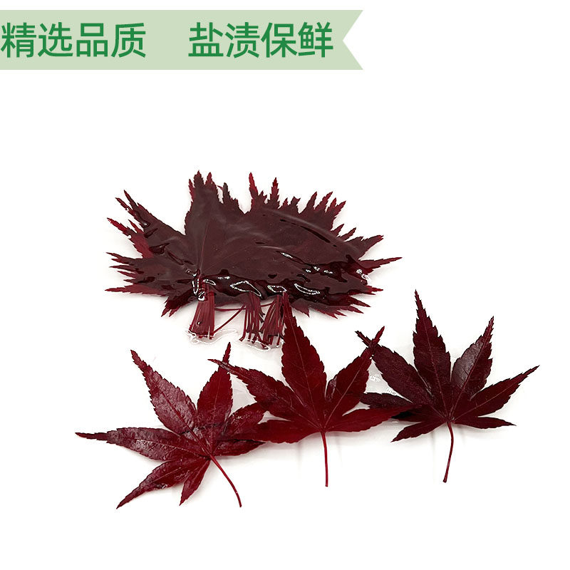 新鲜红枫叶真空盐渍枫树叶西餐摆盘日料烘培饮品咖啡装饰点缀花草,淘宝优惠券,粉丝福利购,淘宝优惠卷