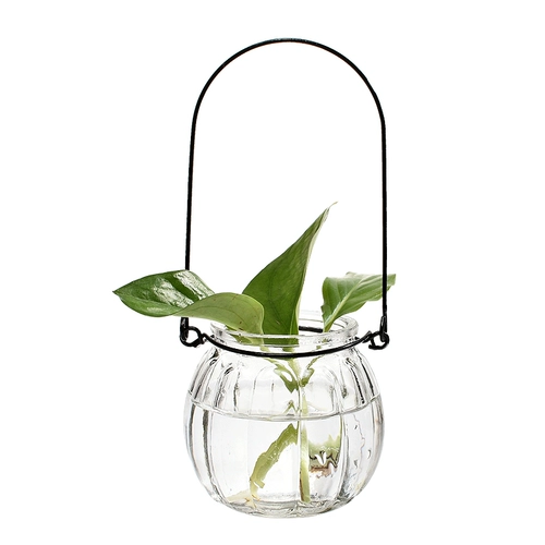 3 Медные монеты стеклянные вазы Просмотр корней растения гидропонный контейнер для растений