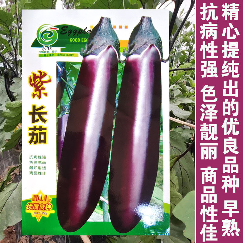 蔬菜种子紫红长茄种子春季四季田园阳台盆栽茄子籽 四季种植瓜果,淘宝优惠券,粉丝福利购,淘宝优惠卷