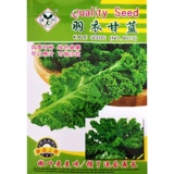 Yuyou Gan Blue Entable Seeds съедобная капуста растительные семена семян балкон четыре сезона