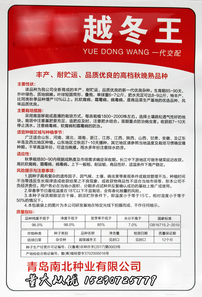 越冬王冬储大白菜种子 抗病高产 秋晚熟大白菜 农家田园秋冬播种 - 图0