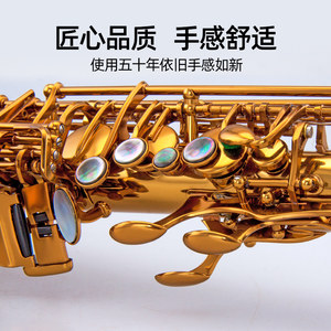 泰山中音萨克斯TSAS-9902降e调管乐器风初学者正品考级演奏高品质