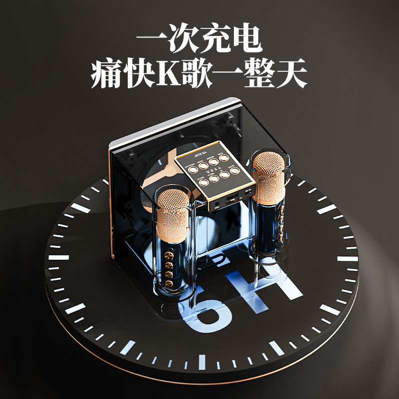 家庭ktv音响套装卡拉ok高端麦克风 铂典KTV/卡拉OK音箱