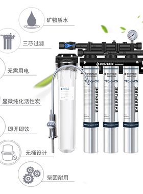 爱惠浦净水器7FC-S 三联四联商用咖啡奶茶店餐饮直饮水净水机器