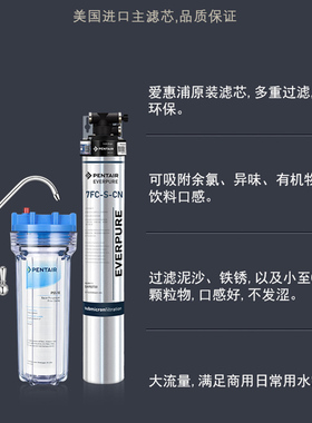 爱惠浦净水器7FC/7FC-S商用家用厨房直饮净水机 咖啡奶茶店净水器