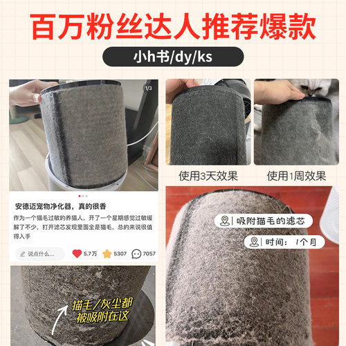 【第四代】安德迈除过敏源宠物吸浮尘猫毛发空气净化器家用除臭机 - 图2