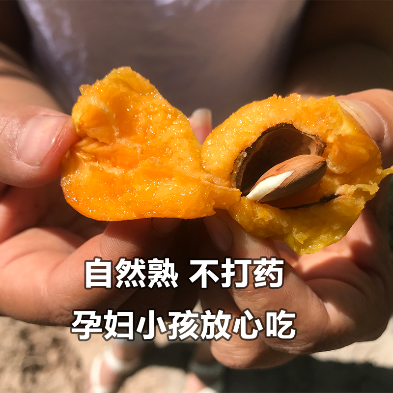 【顺丰包邮】新疆小红杏新鲜杏子水果5斤阿克苏当季吊干杏小白杏 - 图1