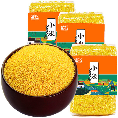 黄小米新米黄米宝宝粥米农家含硒粗粮小黄米五谷杂粮350g*3袋 - 图3