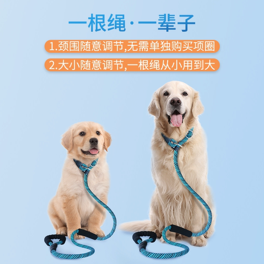 Training for professional large, medium, small and small dog walking explosion-proof