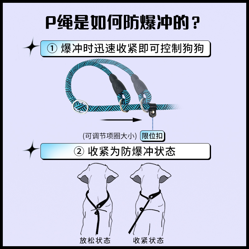 p绳防爆冲遛狗狗牵引绳训练边牧金毛柯基p链幼小中大型犬宠物项圈 - 图2