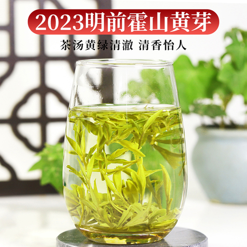 六安霍山黄芽2024新茶250克半斤装明前特级高山浓香安徽黄茶茶叶