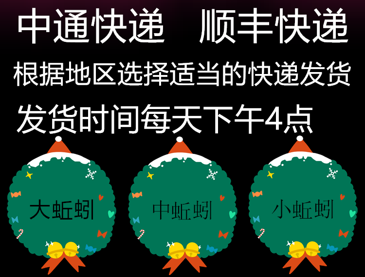 青蚯蚓活饵黄鳝地龙臭蚯蚓垂钓鱼饵黑蚯蚓活体青蚯蚓松土大蚯蚓-图0