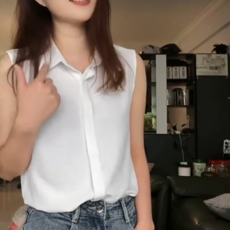 秋冬新款优雅无袖百搭白色衬衣女配西装内搭休闲气质轻熟叠穿小衫 - 图0