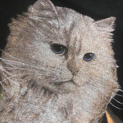 春秋季美国潮牌ripndip 贱猫中指猫长袖t恤nermus Tee 祈祷僧侣 虎窝淘