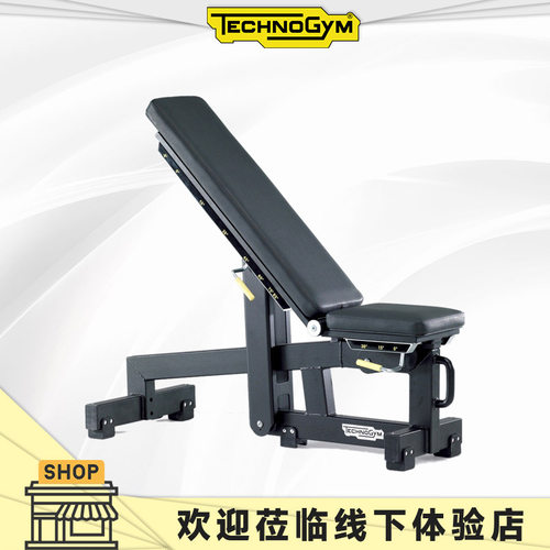 泰诺健  PUE STRENGTH 可调式哑铃椅 TechnoGym 泰诺健北京体验店 - 图1