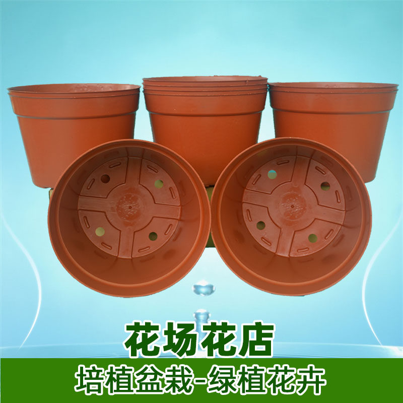 整件蛇皮装A型营养杯育苗杯塑料花盆瓶钵园艺盆栽绿植多肉苗包邮_虎窝淘