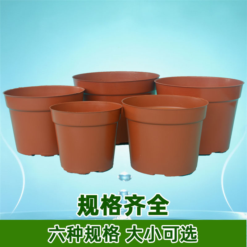 整件蛇皮装A型营养杯育苗杯塑料花盆瓶钵园艺盆栽绿植多肉苗包邮_虎窝淘