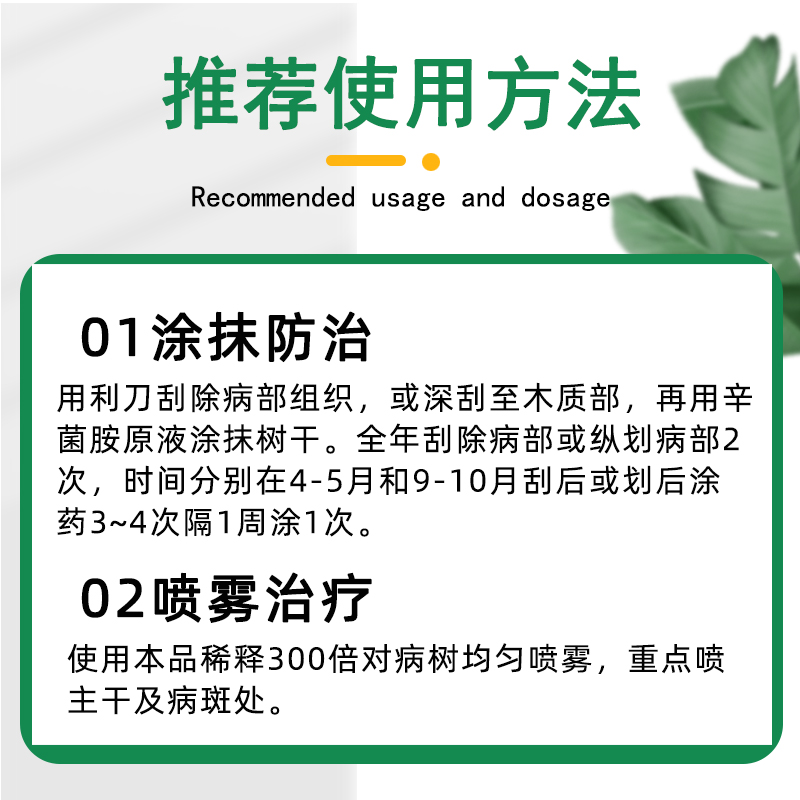 农药大全辛菌胺醋酸盐樱桃树果树腐烂病果锈病流胶病专用药杀菌剂 - 图1