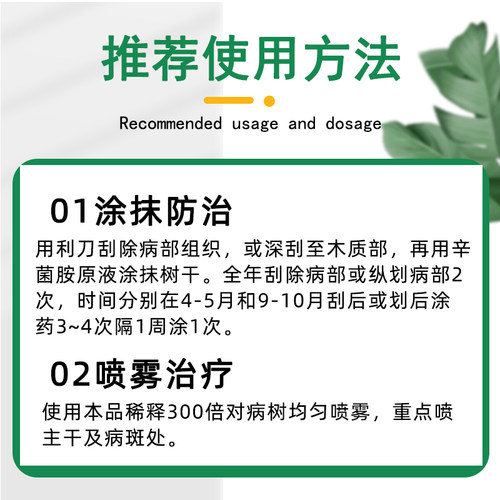 农药大全辛菌胺醋酸盐樱桃树果树腐烂病果锈病流胶病专用药杀菌剂-图2