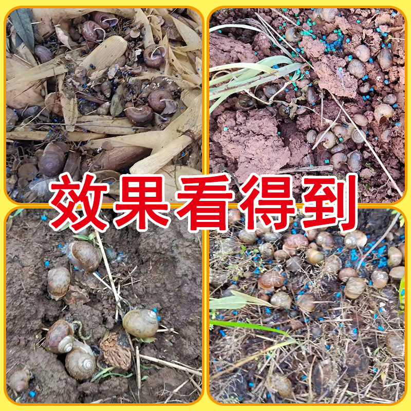 蜗牛药杀虫剂除菜地杀鼻涕虫福寿螺专用药四聚乙酫醛水剂悬浮剂