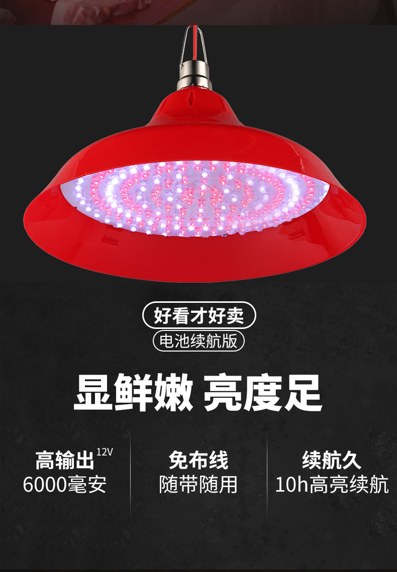 12V24V48V电瓶电动三轮车低压Led生鲜猪肉灯夜市熟食摆地摊水果灯 - 图2