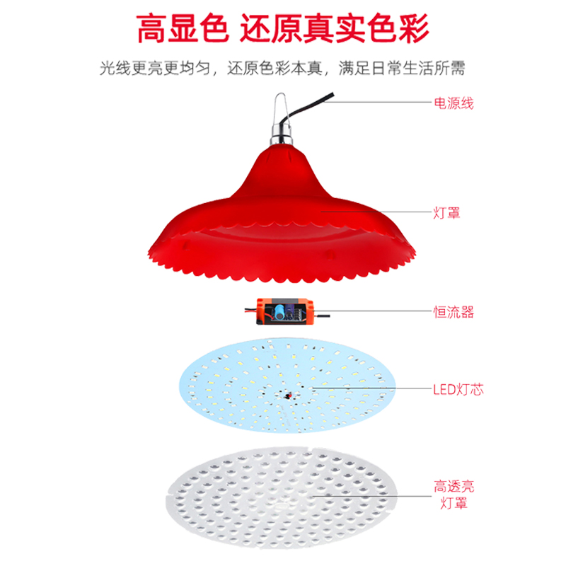 12V24V48V电瓶电动三轮车专用夜市摆摊led地摊水果熟食卤菜生鲜灯 - 图3