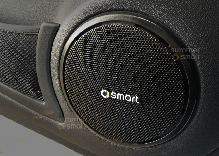 09-22款SMART汽车改装贴纸音响装饰车贴金属SMART装饰车标车贴_虎窝淘