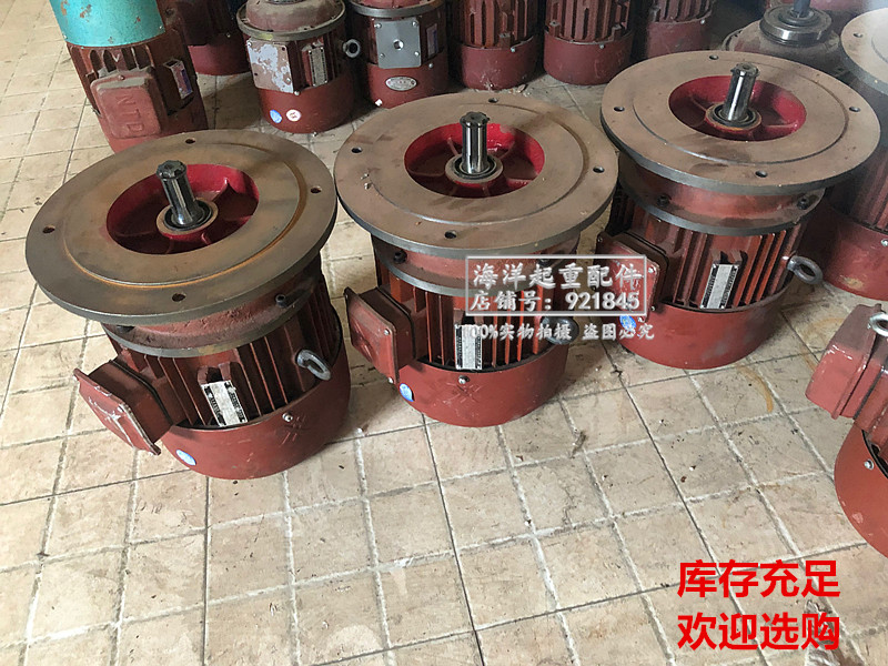 正品南京起重电机总厂ZDY31-4 3.0kW 锥形转子制动三相异步电动机 - 图2