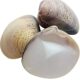 Tile shell old anti-crack Shanghai hand guard Tile shell old Shanghai hand guard