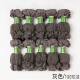 100 pairs of summer thin invisible anti-snag socks for women