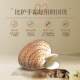 Old Shanghai Clam Oil Halal Shell Shell Clam Half Shell Oil Halal Oil Anti-crack Harry Oil