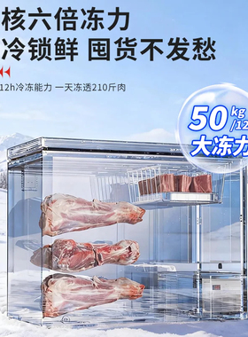 国美商用-86℃卧式超低温冰柜