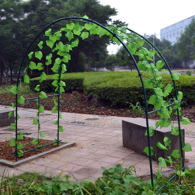 钢管大棚骨架花架暖房温室花房架子花园庭院蔷薇百香果葡萄爬藤架 虎窝淘