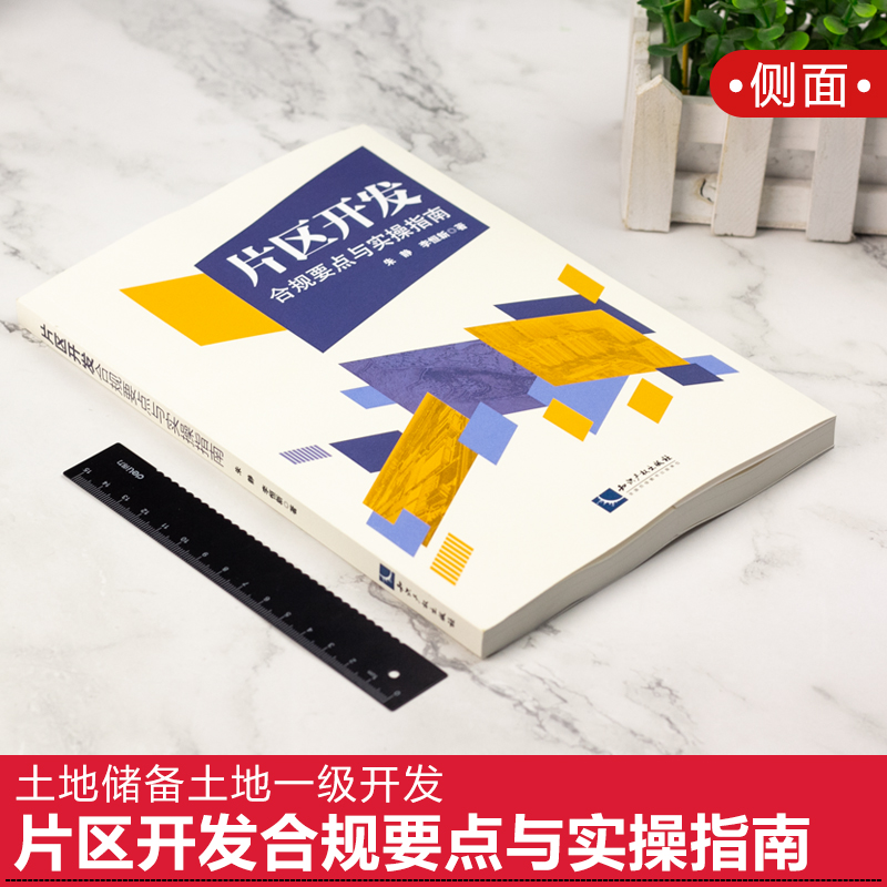 2021新书 片区开发合规要点与实操指南 朱静 李恒新 土地储备土地一级开发 城市更新 政府债务风险 政府购买服务 ABO模式 法律书籍 - 图0