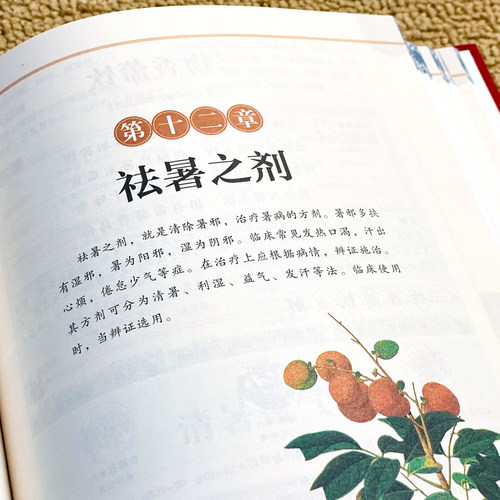 认准正版】完整版汤头歌诀全套无删减原版白话文带详解中医养生书籍大全书 解中医草药养生入门黄帝内经本草纲目神农本草经书籍 - 图2