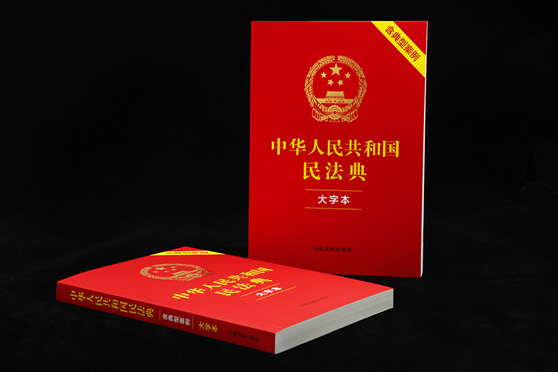 包邮正版2023年版 中华人民共和国民法典 大字本 注释本 含典型案例 中国法制出版社9787521638011 - 图2