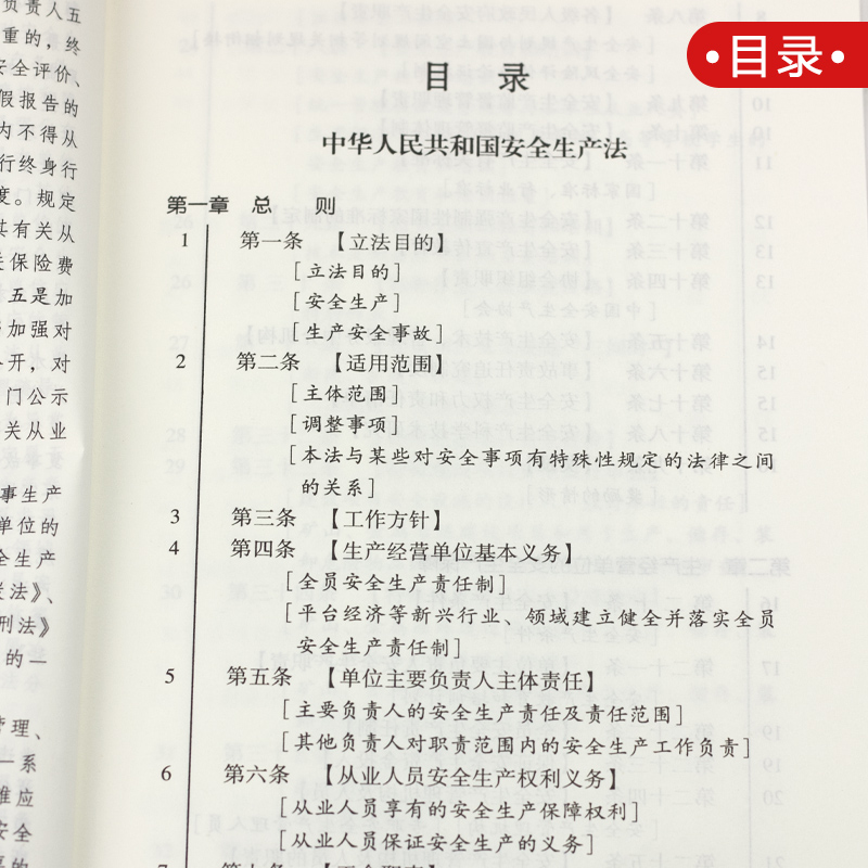 正版2024适用中华人民共和国安全生产法实用版法条 2021年6月修订新版安全事故应急条例含典型案例消防应急救援法条法规书籍 - 图1