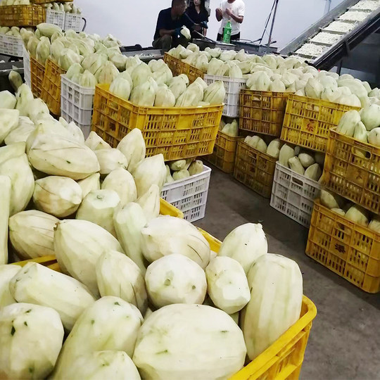 Hengxian сушеные кусочки папайи, новые хрустящие белые полоски зеленой папайи Гуанси, 500 г, оптом, сухие товары, домашние кубики папайи