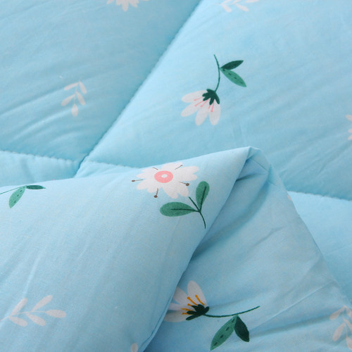 纯棉花被子被芯棉絮垫被学生加厚保暖双人冬被四季夏凉被新疆棉被 - 图1