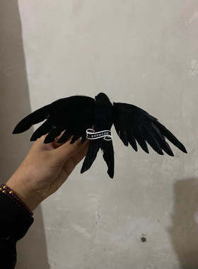 仿真万圣节鸟笼表演道具摆件乌鸦